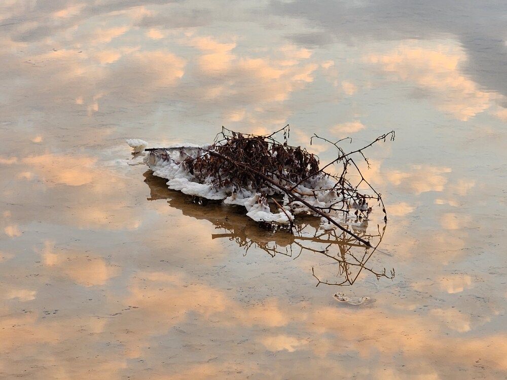 Photograph by Muli Nehama