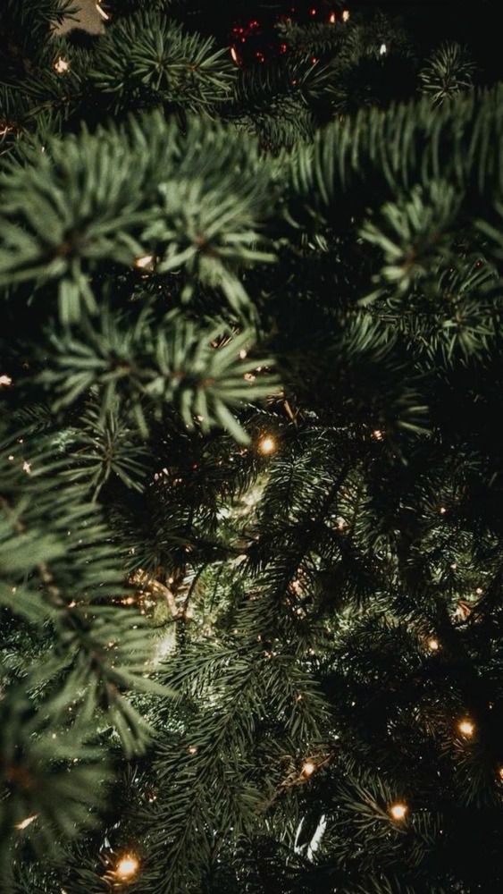 Photograph by Юлия Сысоева