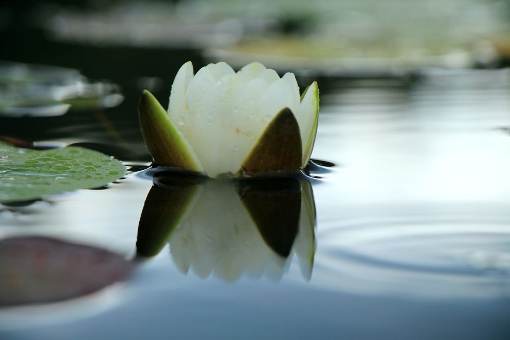 Фотография автора Ольга