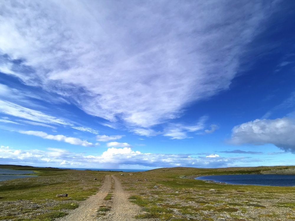 Фотография автора Ольга