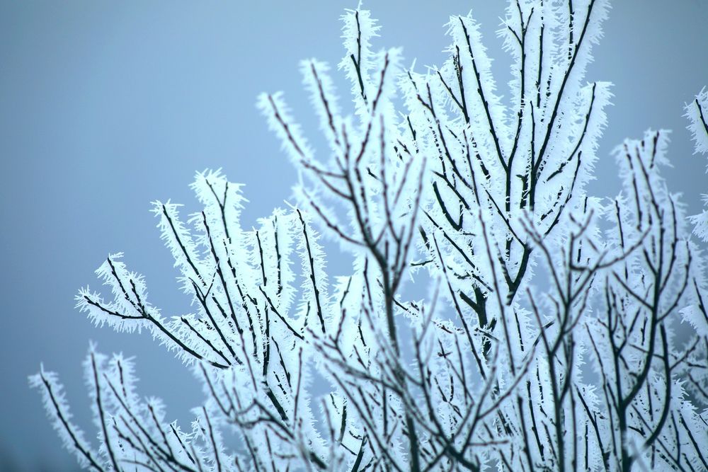 Фотография автора Ольга