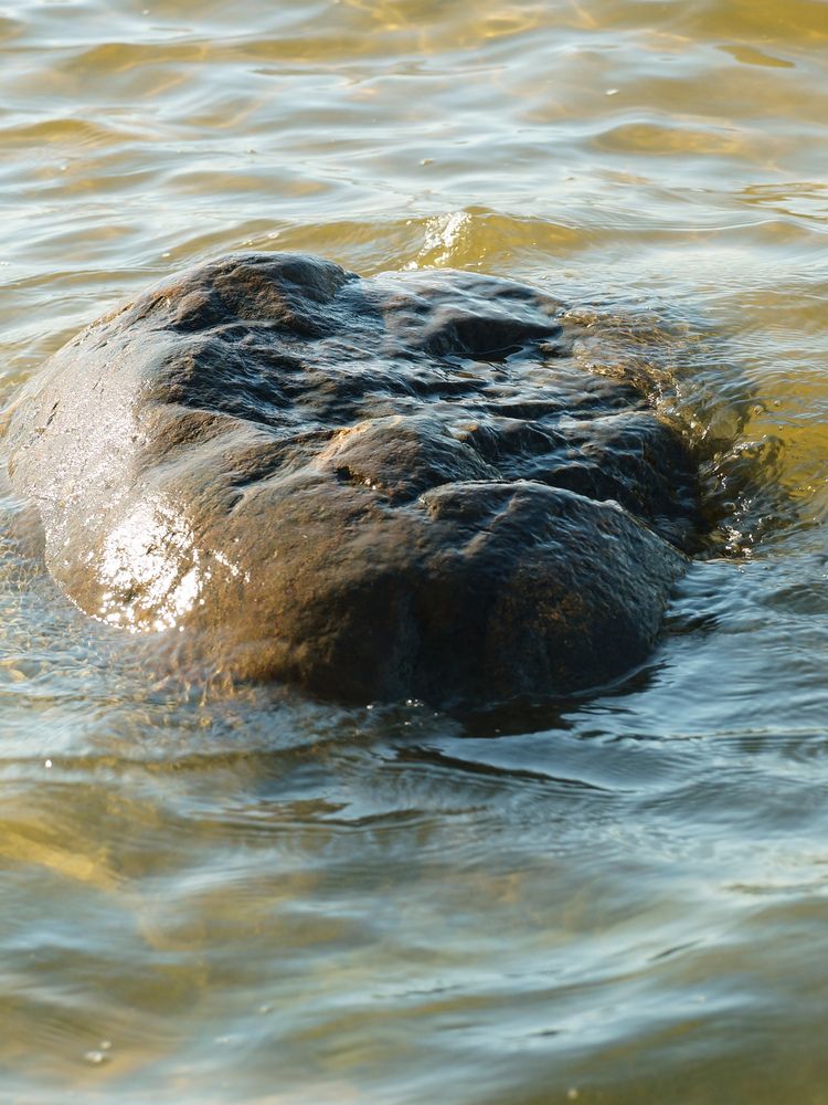 Photograph by Игорь Тамми