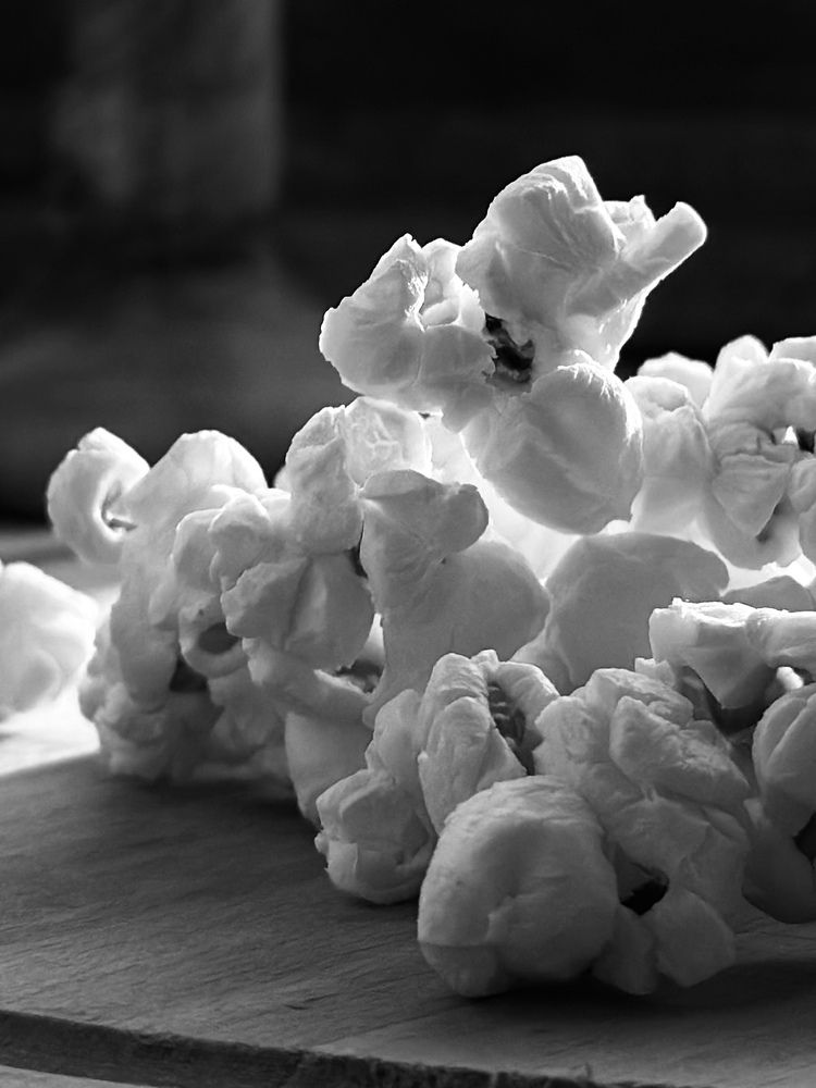Photograph by Анна Лялина