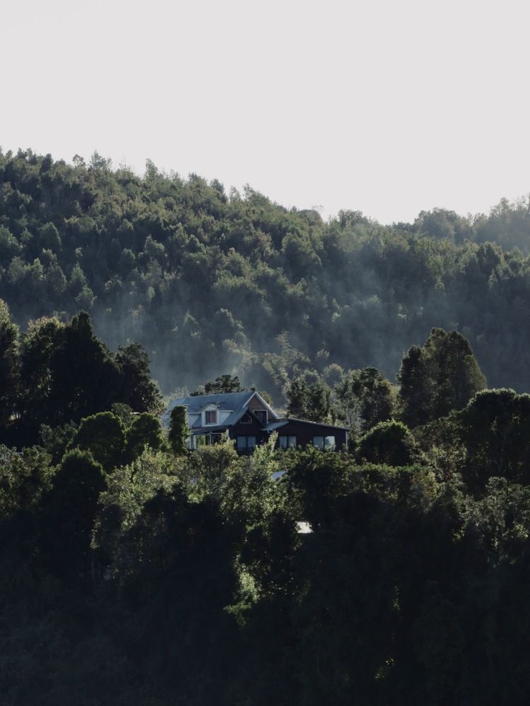 Photograph by Anais Haddad