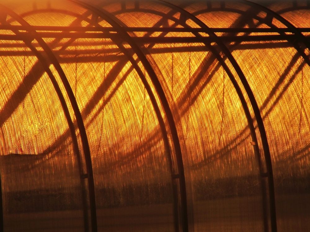 Фотография автора Андрей Шестаков