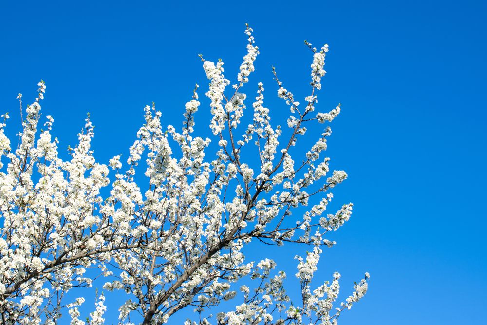 Photograph by Олег Алексеев