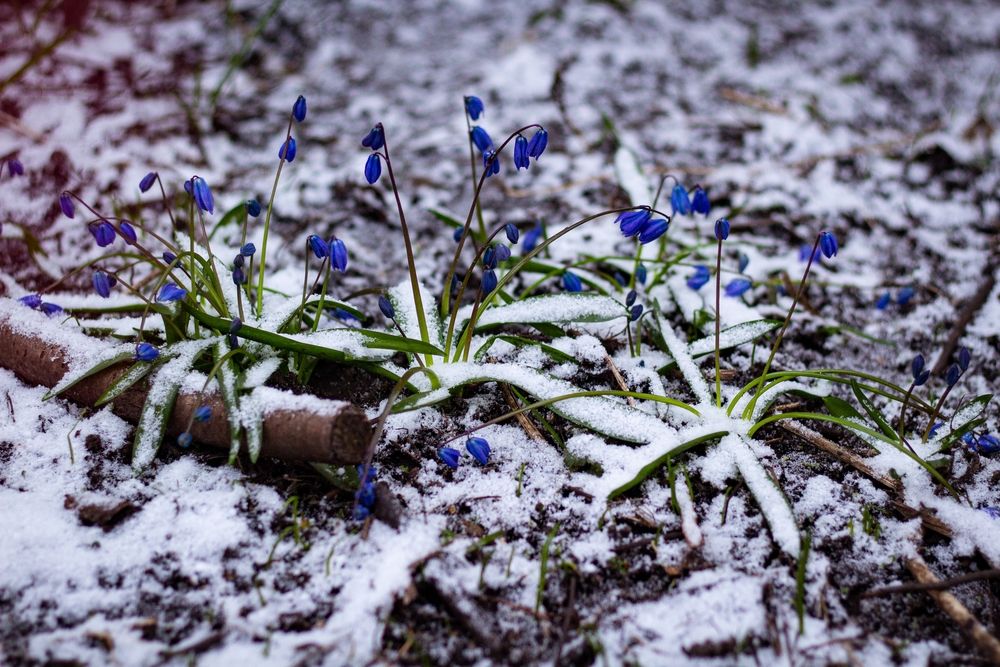 Photograph by Елена Фатьянова