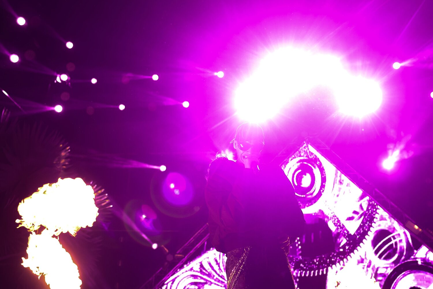 Photo #12981628