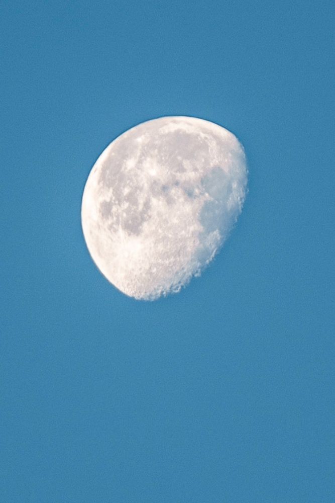 Фотография автора Denis Kotrenko