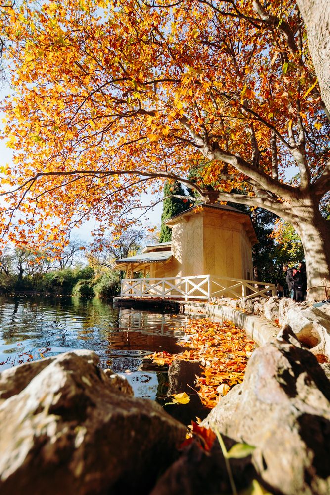 Photograph by Alonzo Contreras