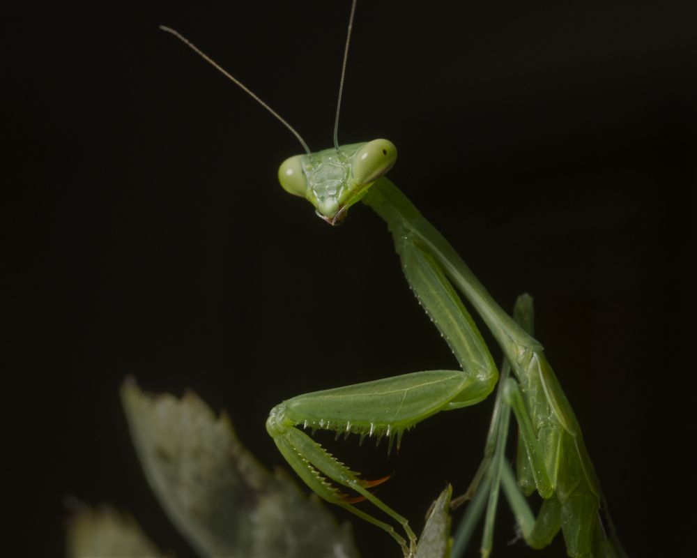 Photograph by Adolf Joubert