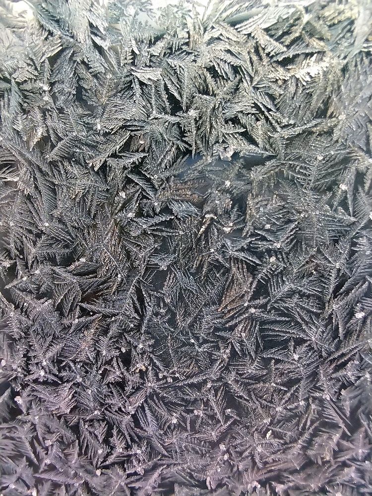 Photo #12981733