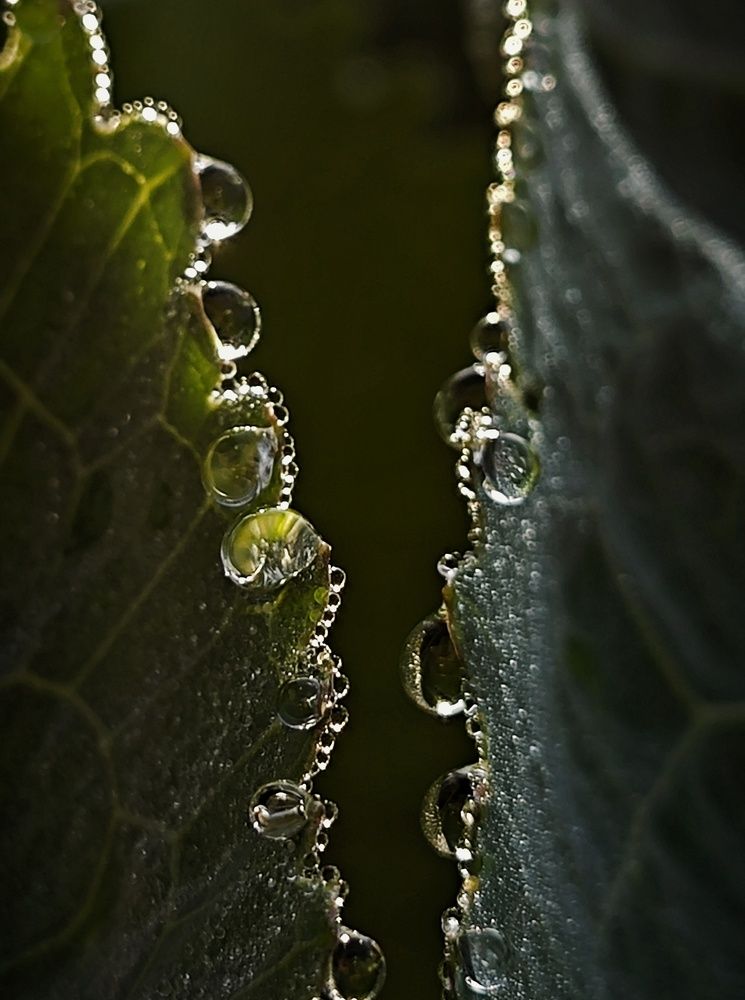Photograph by Евгения Владимировна