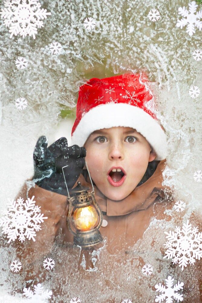 Фотография автора Надежда Кошкина