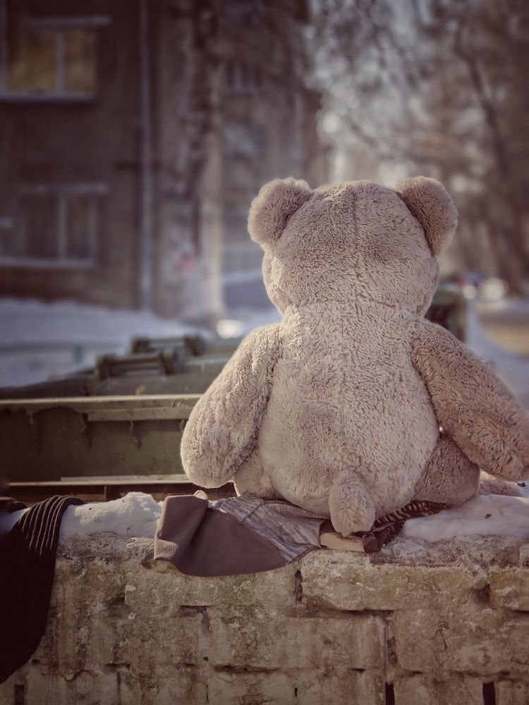 Фотография автора Евгения Владимировна