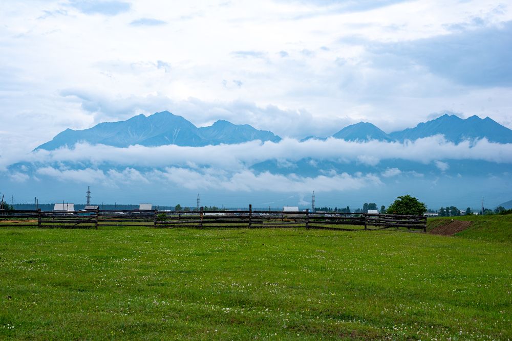 Фотография автора Надежда Кошкина