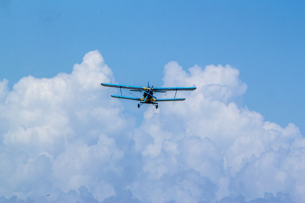 Photograph by Evelyn Carnot Montes