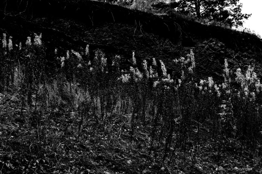 Фотография автора Анастасия Долгова