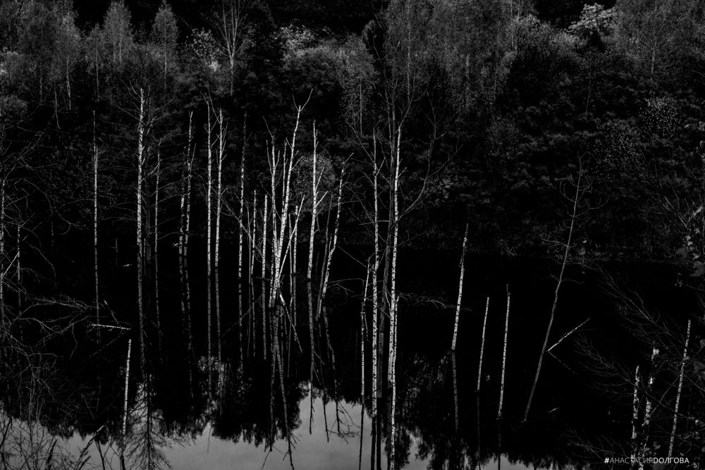 Фотография автора Анастасия Долгова