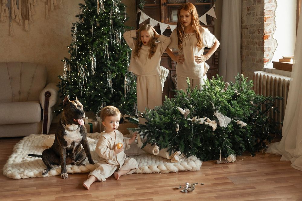 Photograph by Юлия Мальнева