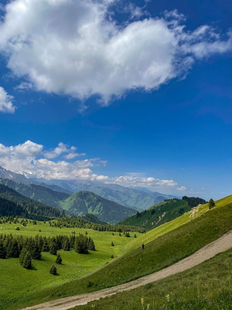 Фотография автора Владимир Ли