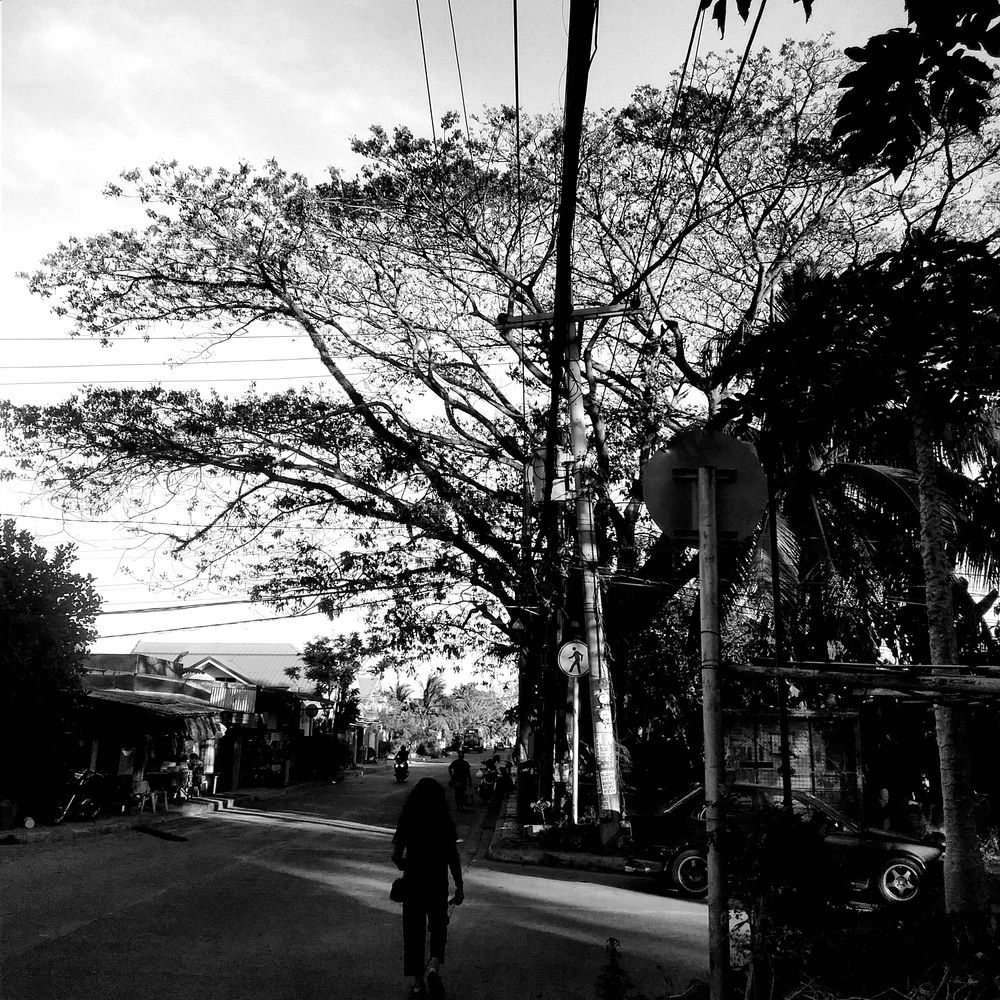 Photograph by deneb sebuado