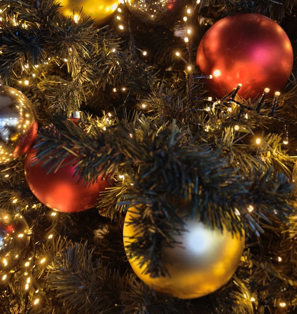 Photograph by Olena Chertous