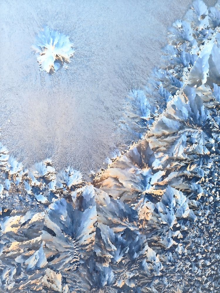 Photograph by Olena Chertous