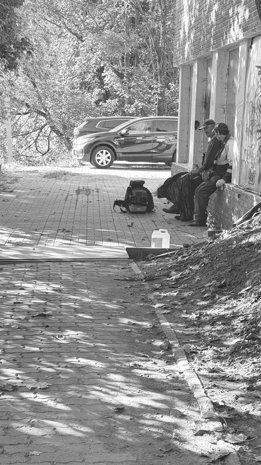 Фотография #12982091