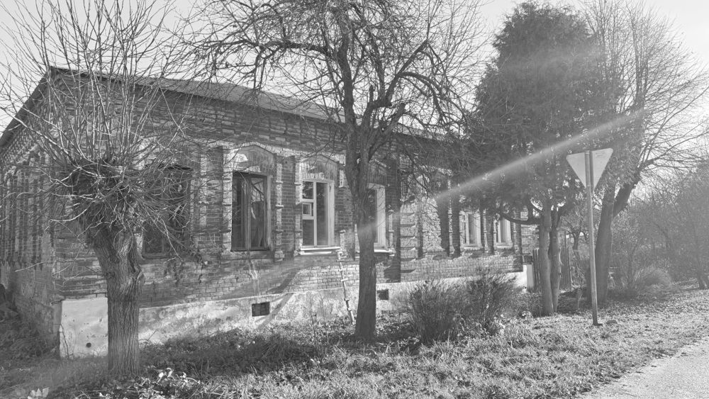 Photograph by Светлана Родионова