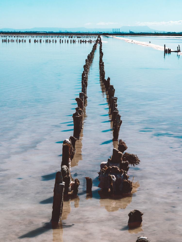 Жизнь и смерть