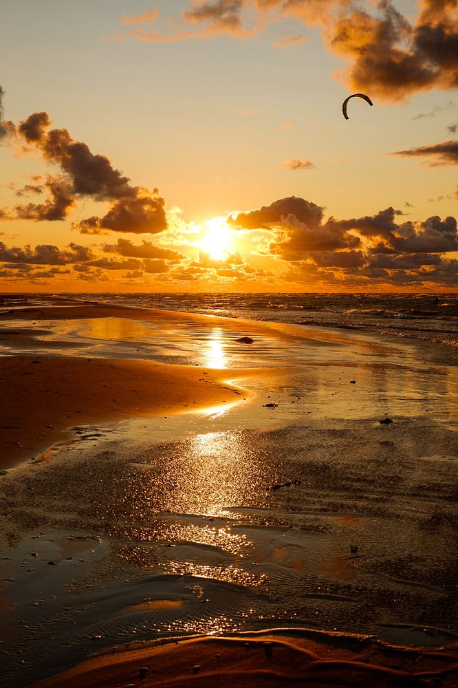 Фотография автора Elvijs Kalnins