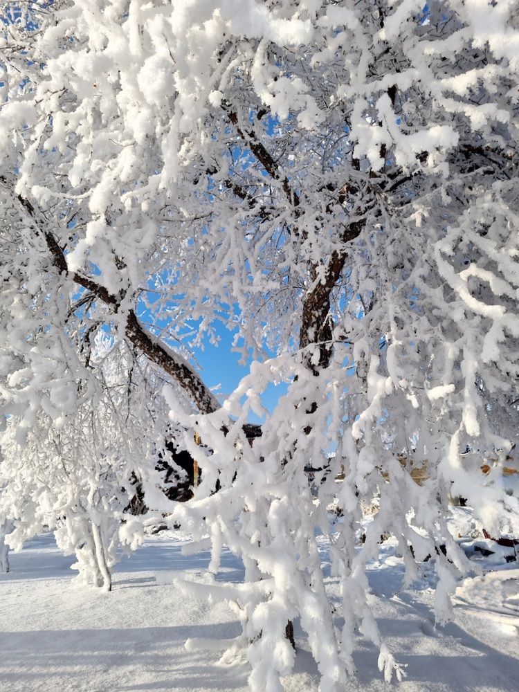 Photograph by Татьяна Устюжанина