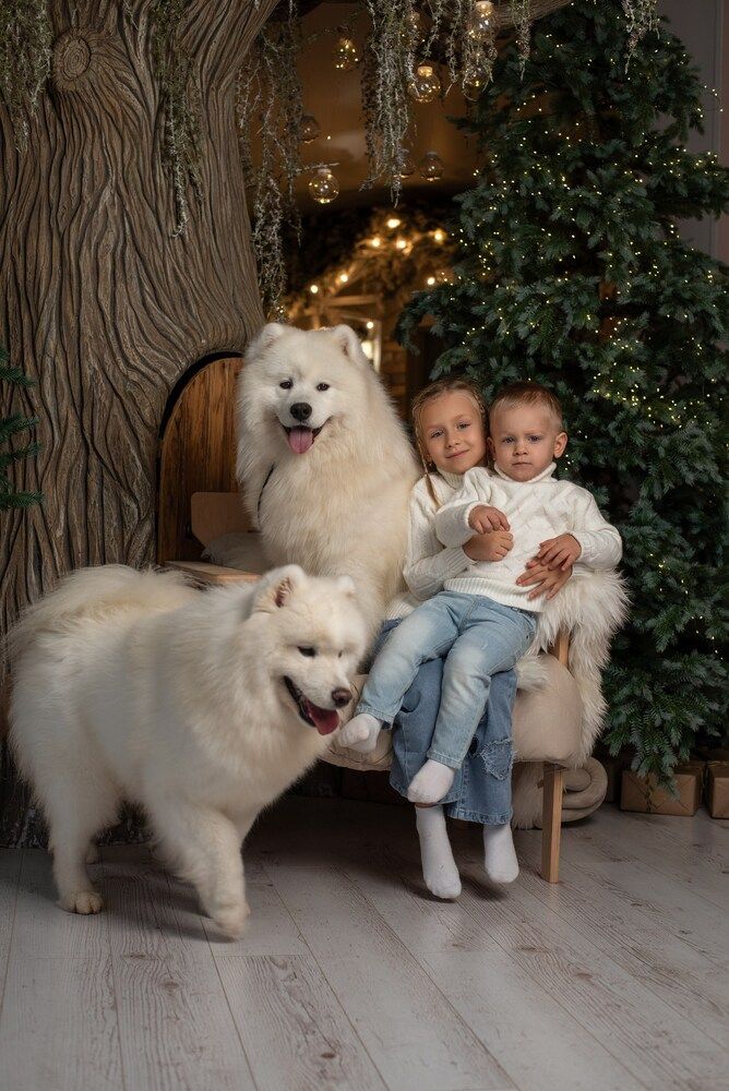 Photograph by Светлана Алдошина