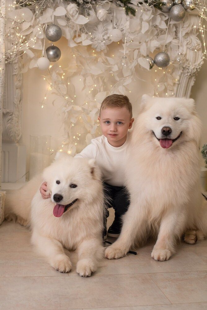 Photograph by Светлана Алдошина