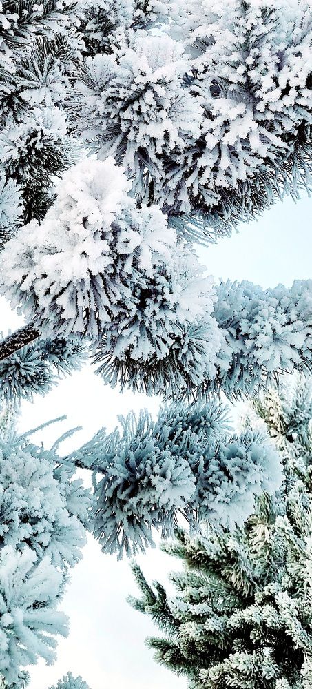 Photograph by Татьяна Устюжанина