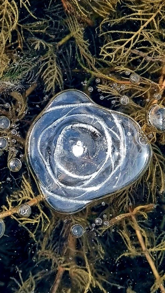 Photograph by Татьяна Устюжанина