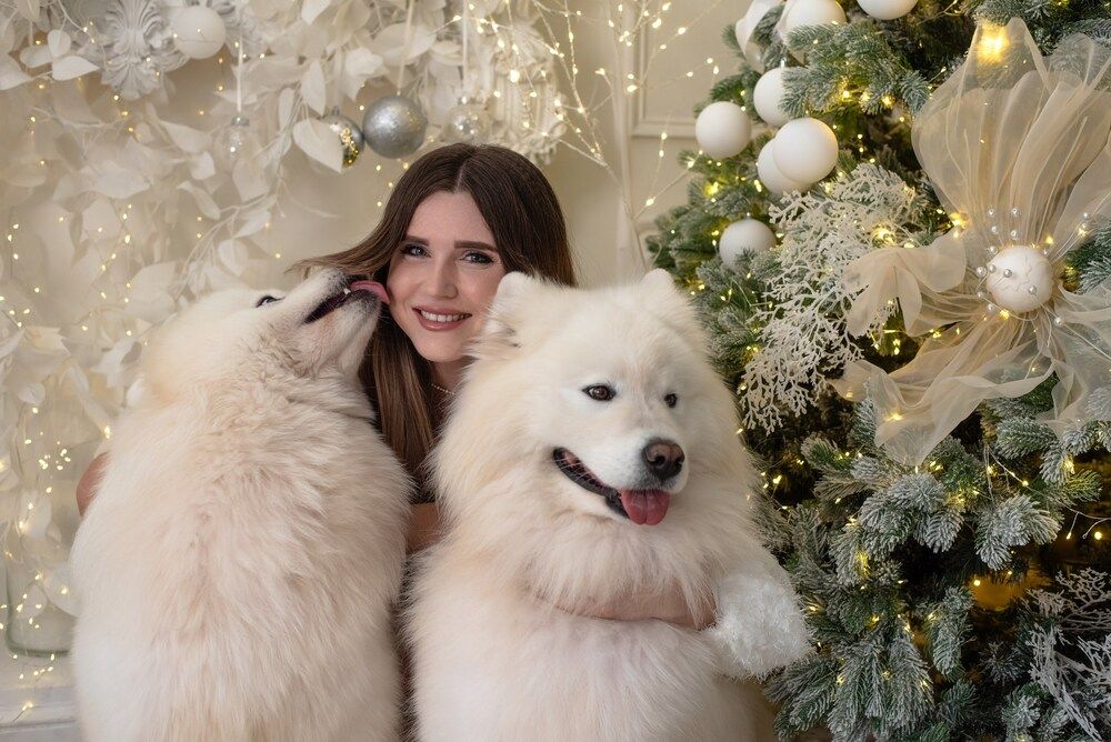 Photograph by Светлана Алдошина