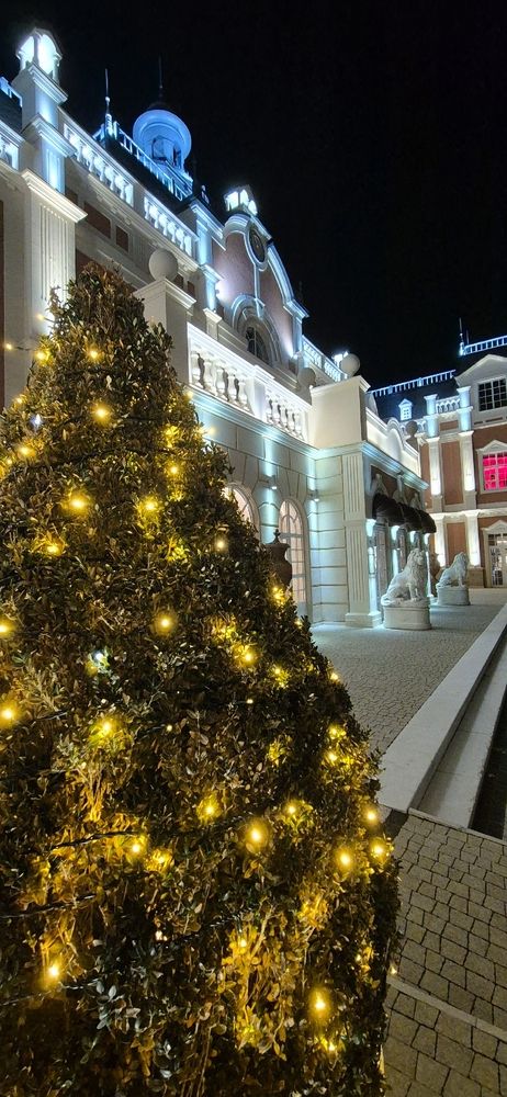 Фотография автора Ольга Мусина