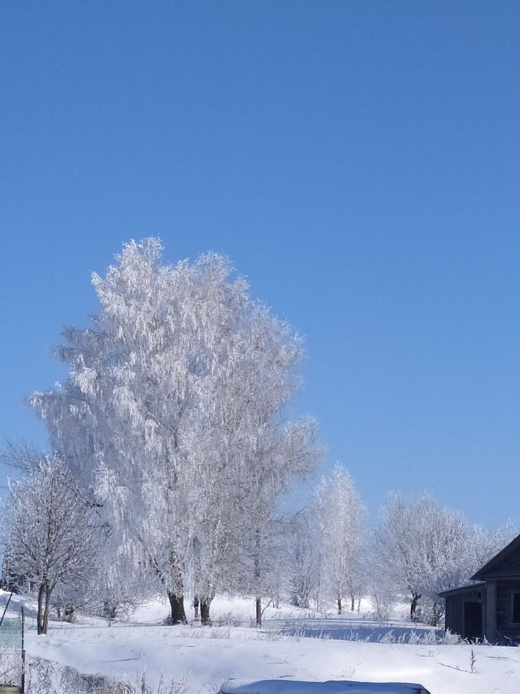 Photograph by Юрий Гордеев