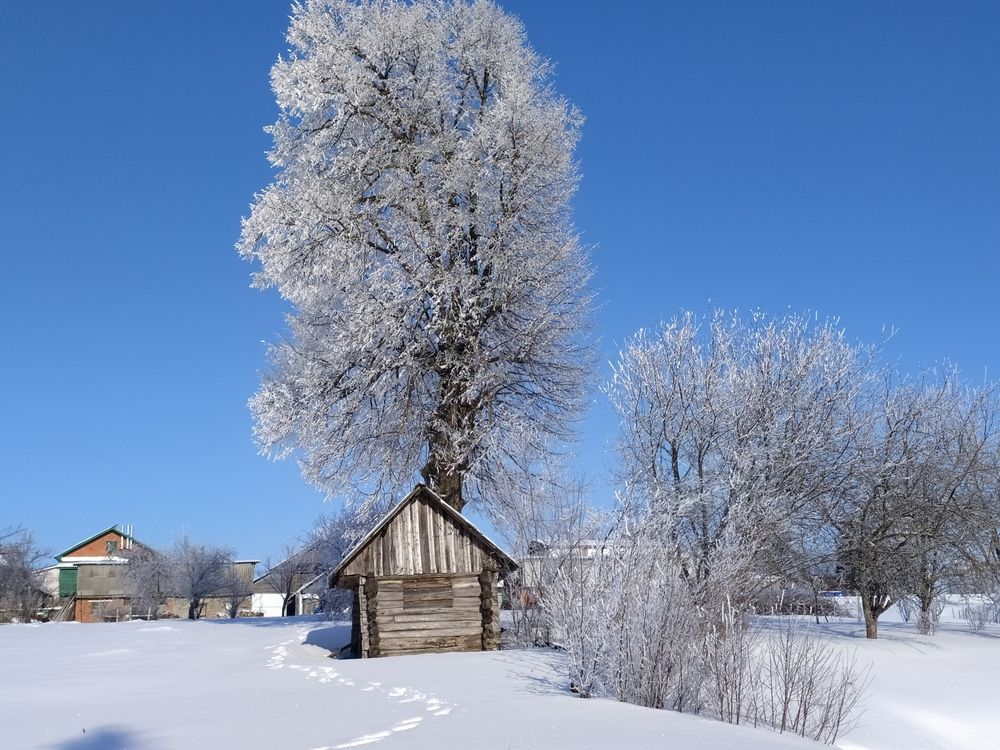 Photograph by Юрий Гордеев
