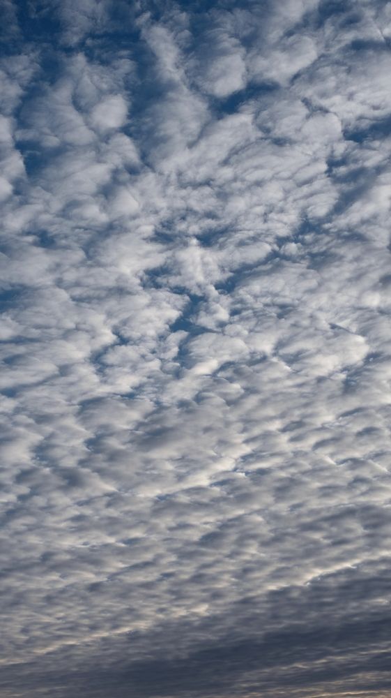 Фотография автора Юрий Кашлевский