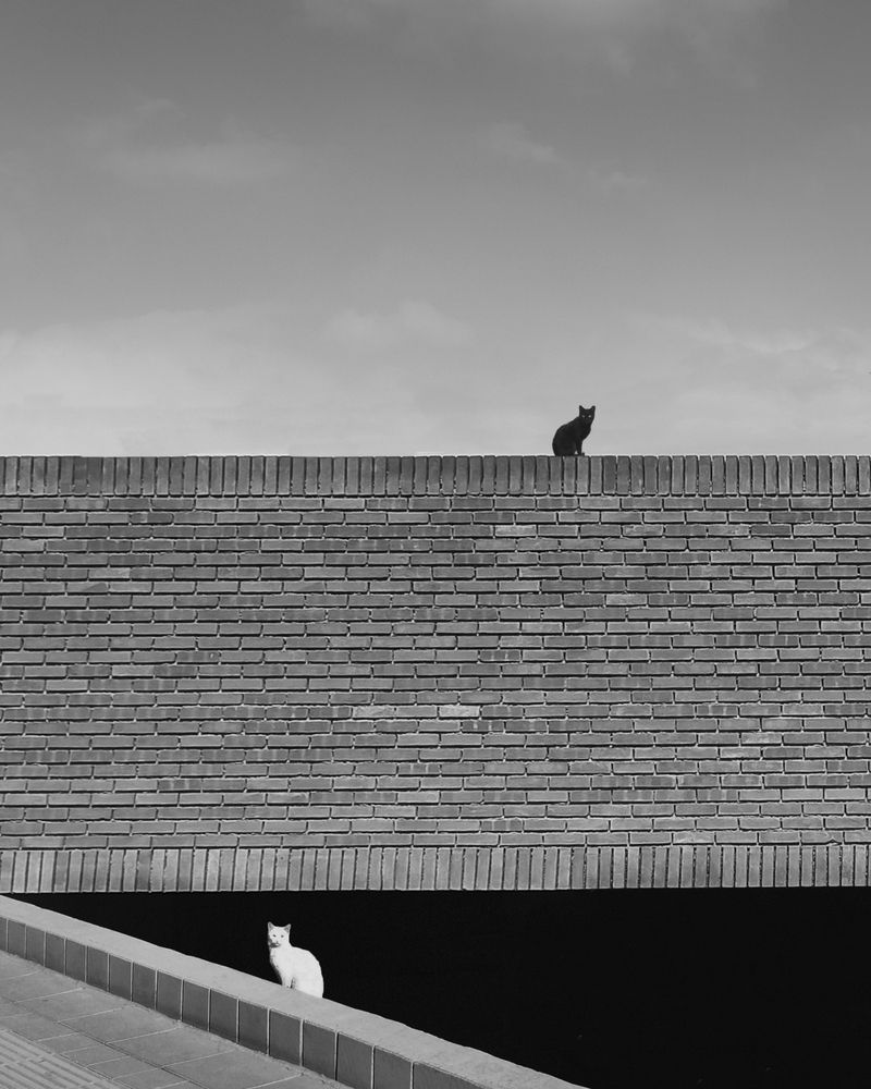 Photograph by Ali Zolghadri