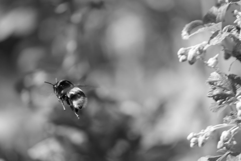 Photograph by Екатерина Александровна