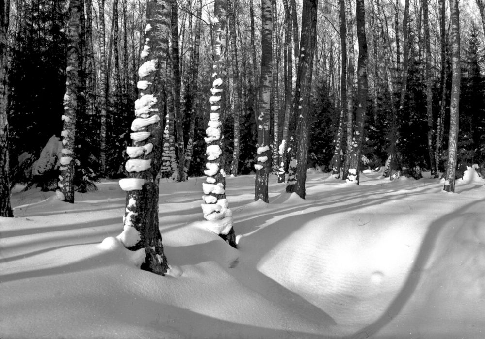 Photograph by Владимир Малёшин