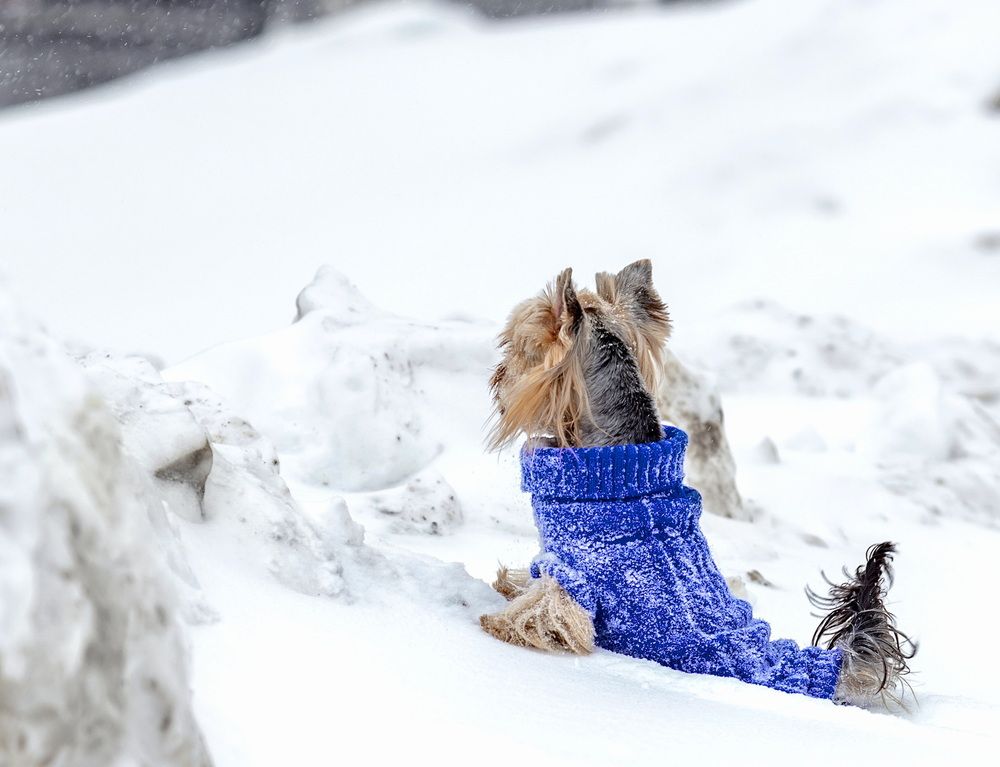 Photograph by Андрей Некрашевич
