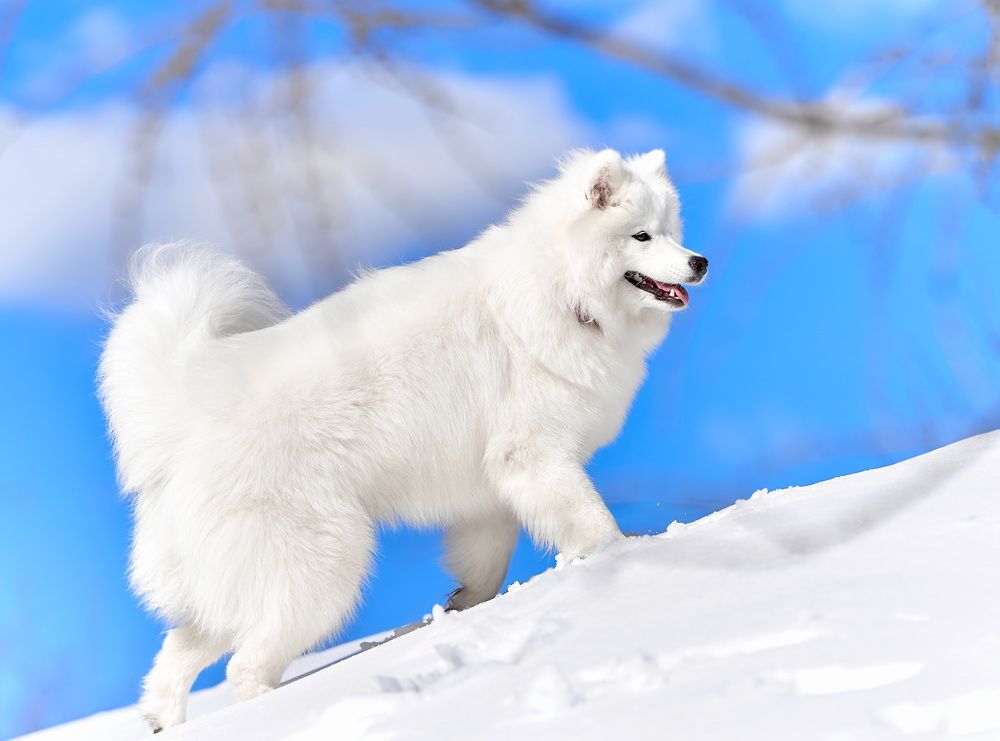 Photograph by Андрей Некрашевич