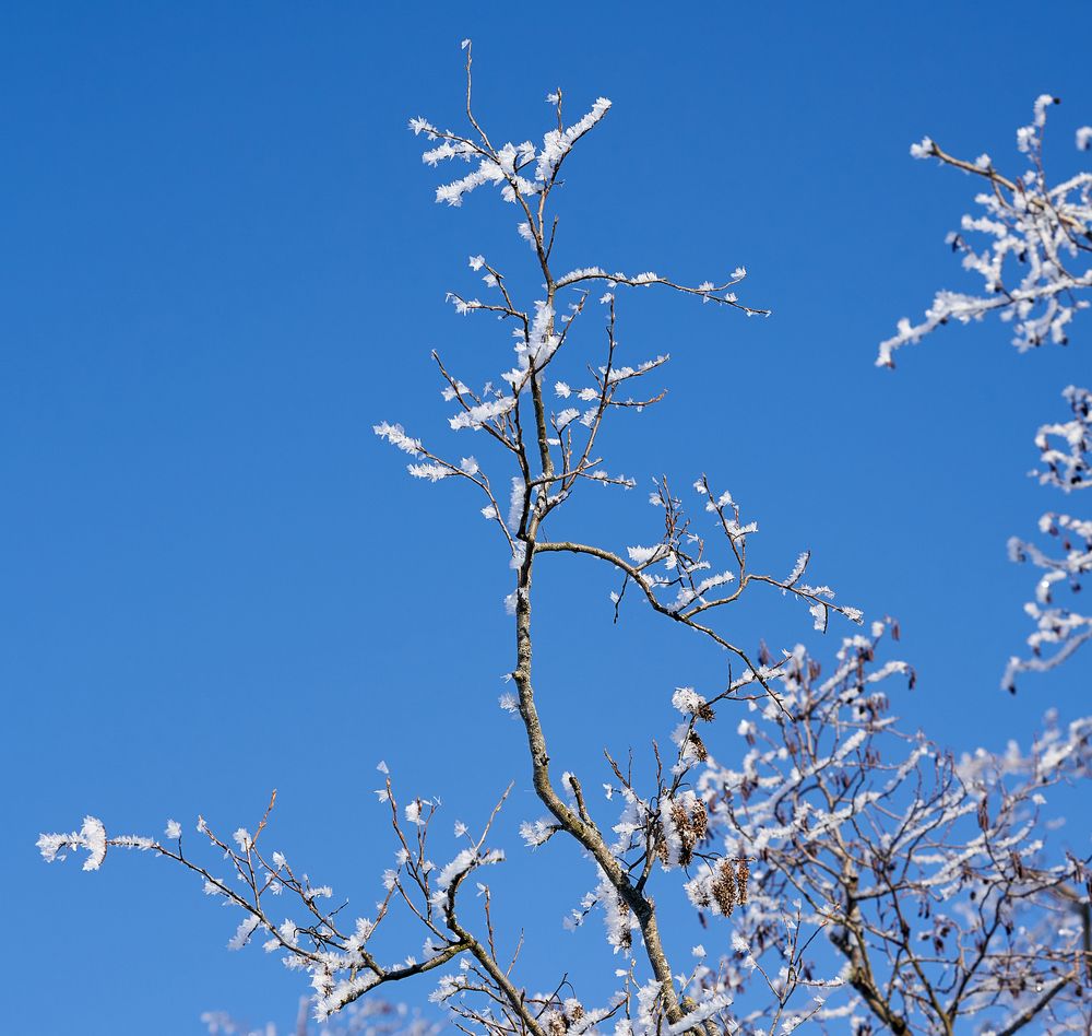 Photograph by Андрей Некрашевич