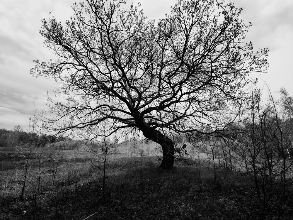 Photograph by Кирилл Сидоров