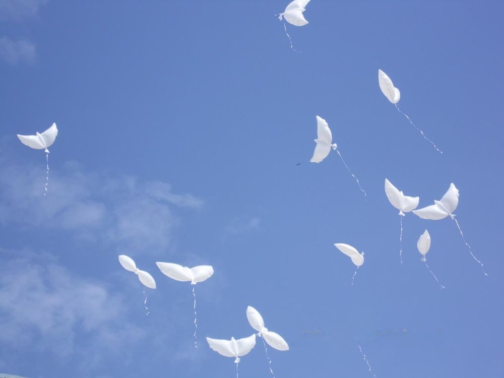 Photograph by Елена Сухорученкова